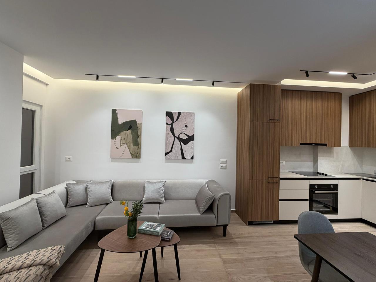 Apartament 1+1 me Qera Zogu Zi-(VR006)